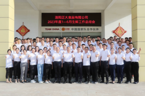 總結過去，計劃未來，協(xié)同創(chuàng)新，再創(chuàng)佳績！洛陽正大舉行2023年上半年工作總結會議